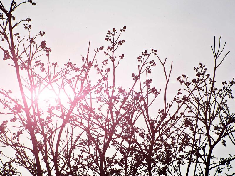 sudoku pointing pairs screenshot 3