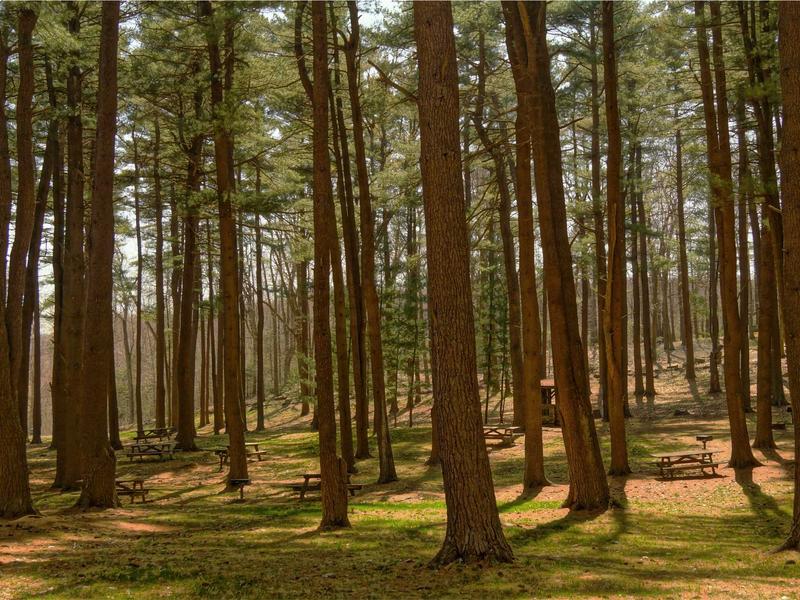 sudoku pointing pairs screenshot 5