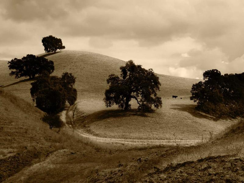 sudoku pointing pairs